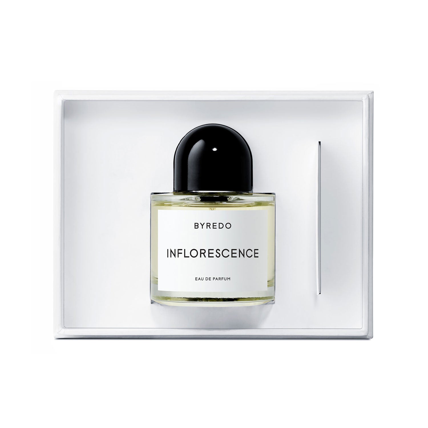 BYR10000120
7340032861945
Byredo La Tulipe 3.3 Eau De Parfum Spray For Women