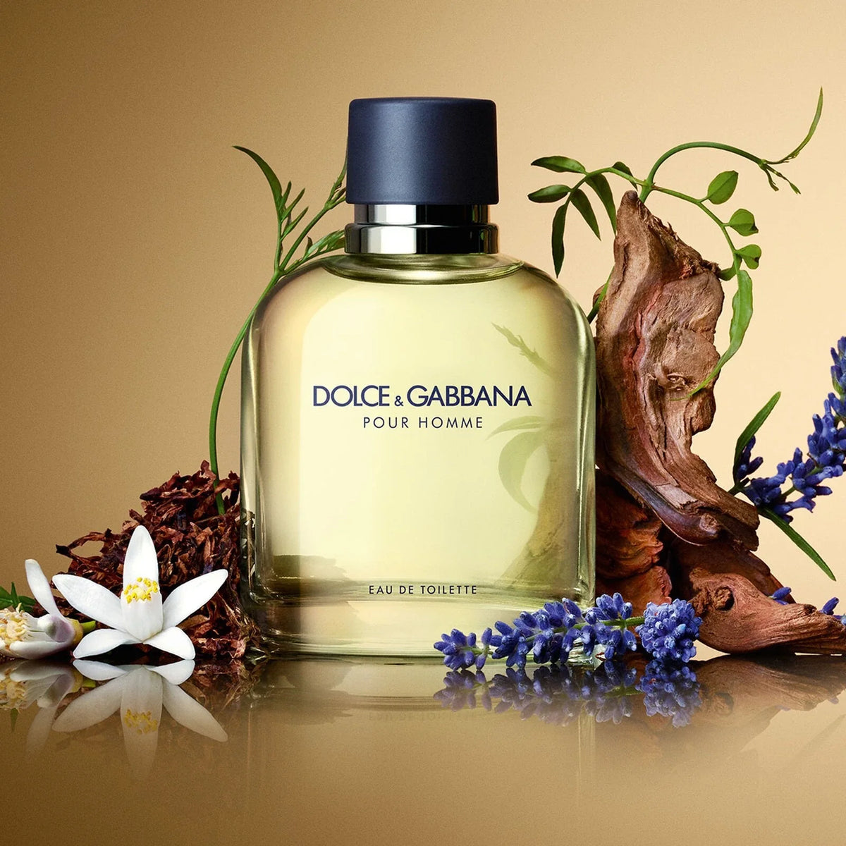 Dolce & Gabbana Pour Homme 4.2 Eau De Toilette Spray