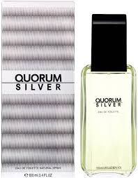 PUIG65012942
8411061582350
Quorum Silver 3.4 Eau De Toilette Spray